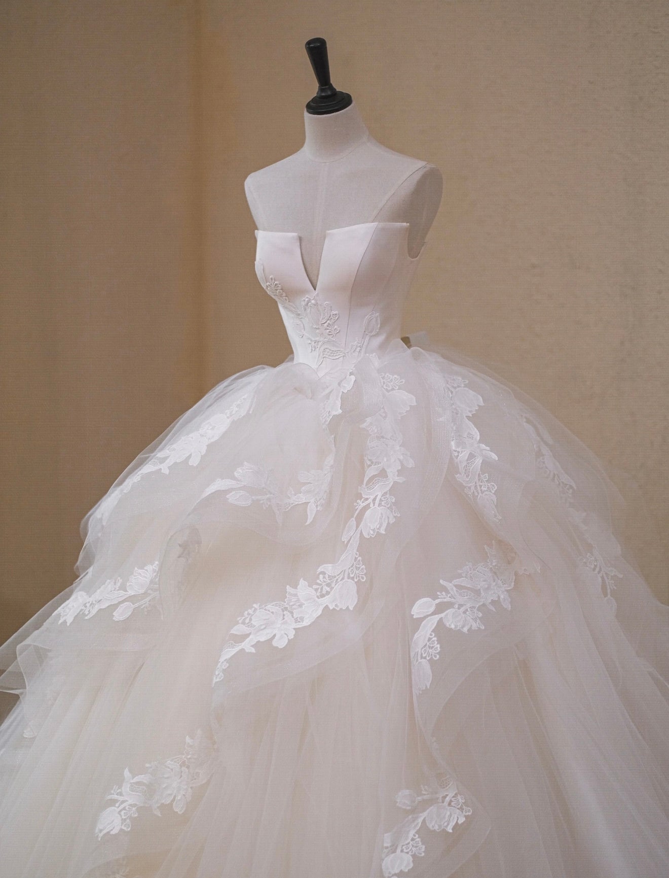 A-Line Tulle Lace Light Champagne Long Prom Dress