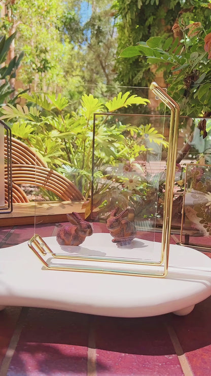 Plexiglass Metal Floating Frames 6.8”x8.5”