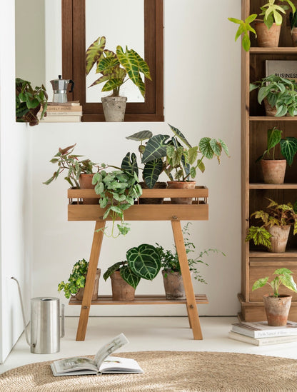 Mid-Century Modern 2-Tier Wooden Plant Stand – Tray Top Console & Display Shelf