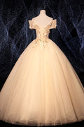 Champagne v neck tulle lace long prom dress champagne evening dress
