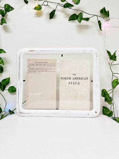 Wooden Floating Frame Handmade Modern Farmhouse White Distressed