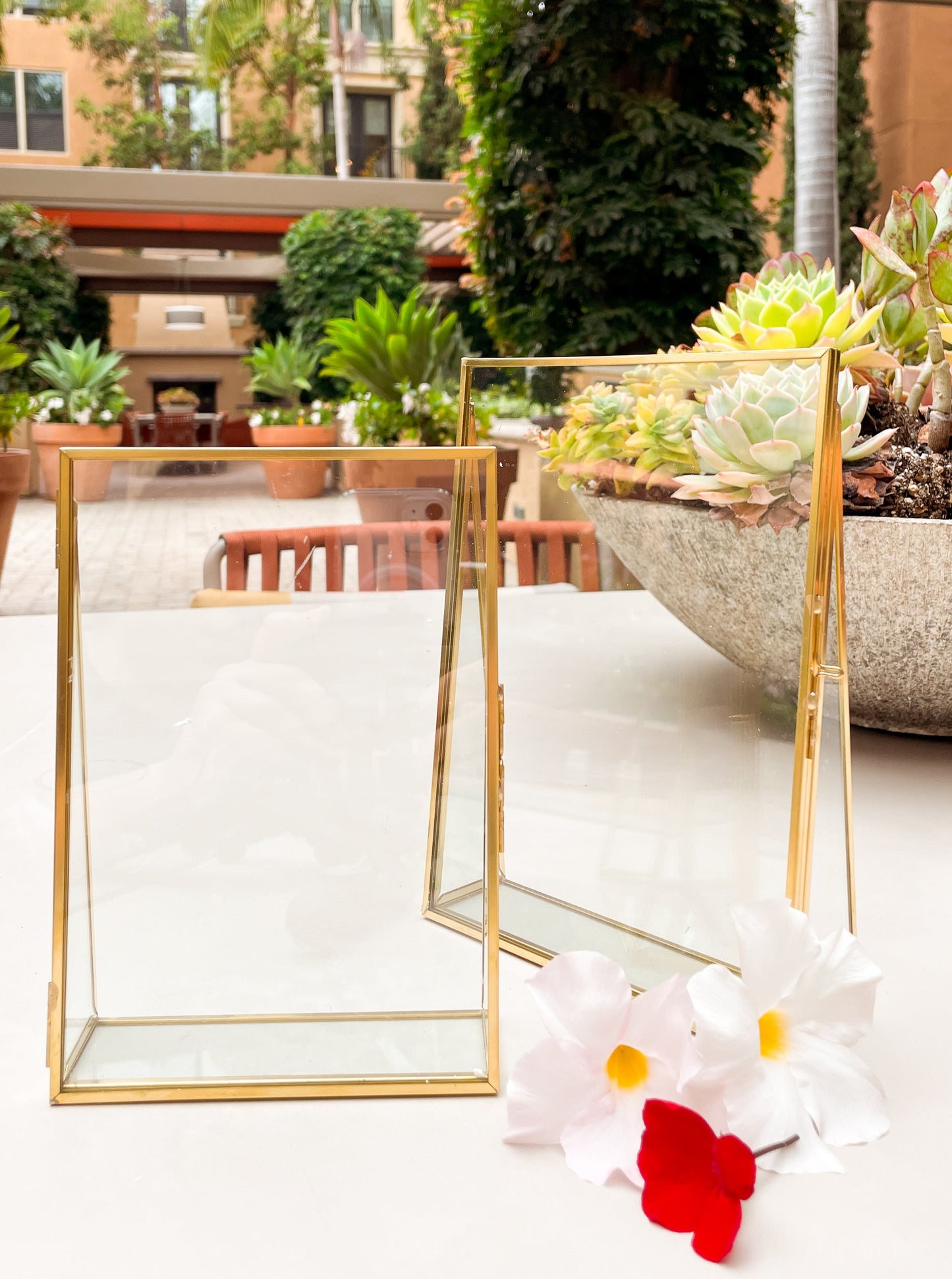 Gold-Edged Display Floating Picture Frames