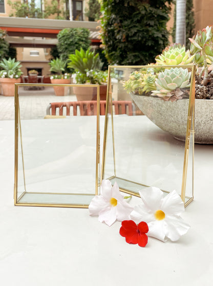 Gold-Edged Display Floating Picture Frames