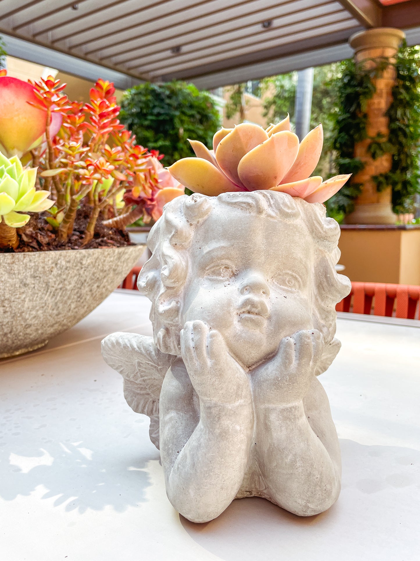Kalalou Cupid Angel Cement Plant Pot - Customized Succulent Arrange Available