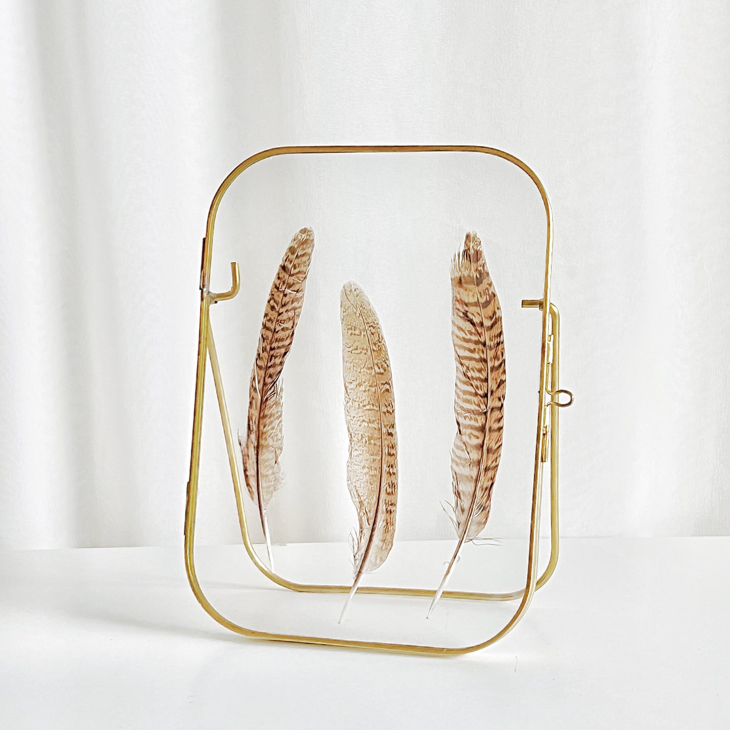 Arched Round Corner Gold Floating Picture Frames