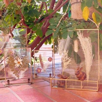 Gold-Edged Glass Frame Display with Compartment Cases