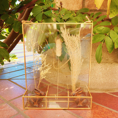 Gold-Edged Glass Frame Display with Compartment Cases