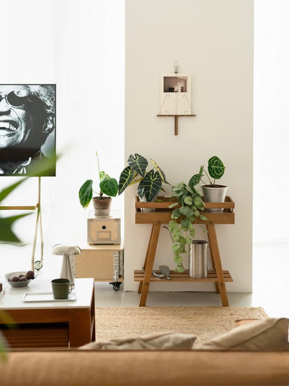 Two-tier wooden console table styled with Alocasia plants and a silver watering can.